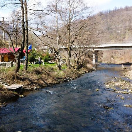 Eden Natural Resort - Transalpina Capalna ภายนอก รูปภาพ