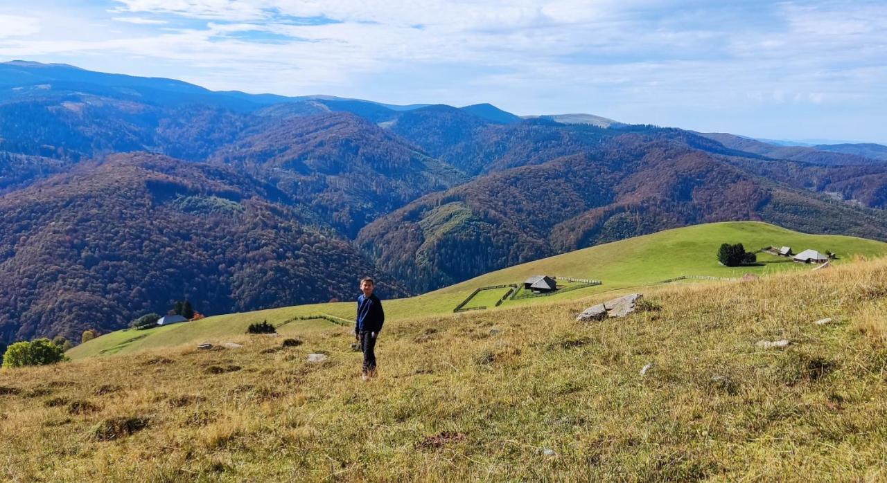 Eden Natural Resort - Transalpina Capalna ภายนอก รูปภาพ