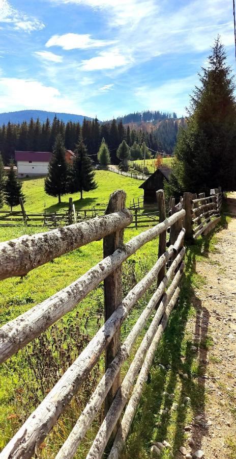 Eden Natural Resort - Transalpina Capalna ภายนอก รูปภาพ