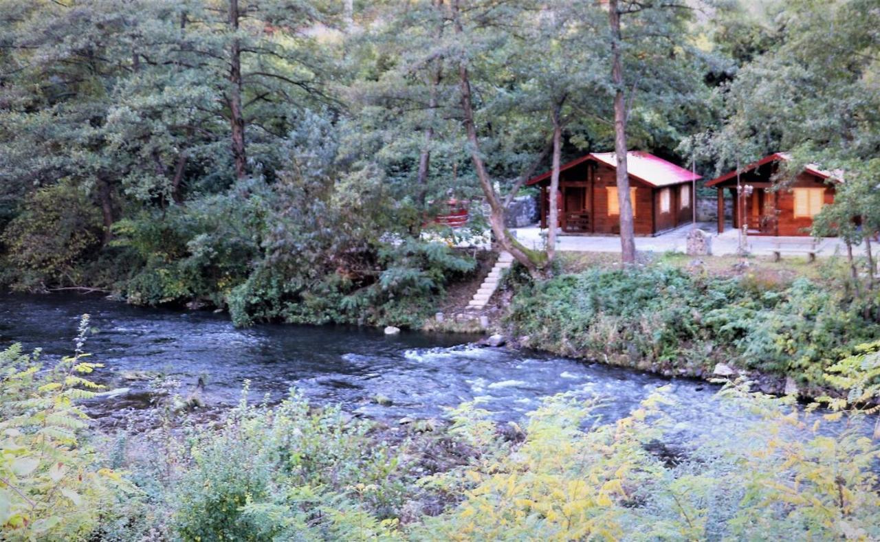 Eden Natural Resort - Transalpina Capalna ภายนอก รูปภาพ