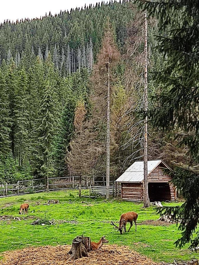 Eden Natural Resort - Transalpina Capalna ภายนอก รูปภาพ